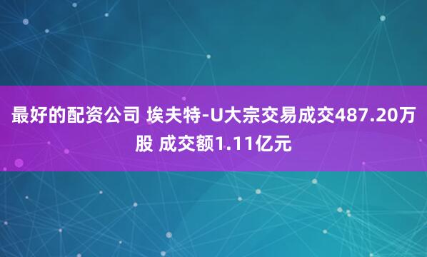 最好的配资公司 埃夫特-U大宗交易成交487.20万股 成交额1.11亿元
