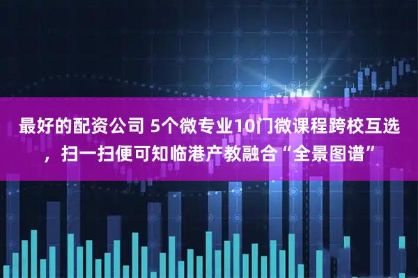 最好的配资公司 5个微专业10门微课程跨校互选，扫一扫便可知临港产教融合“全景图谱”